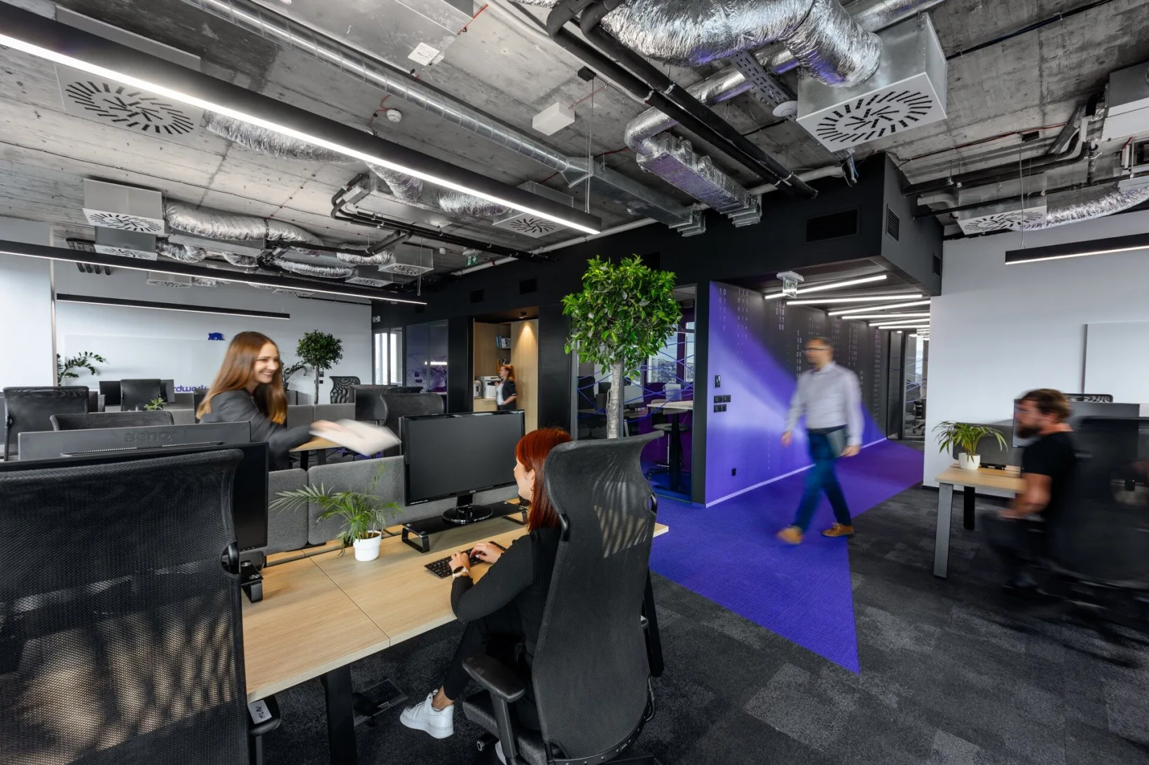 Aardwark