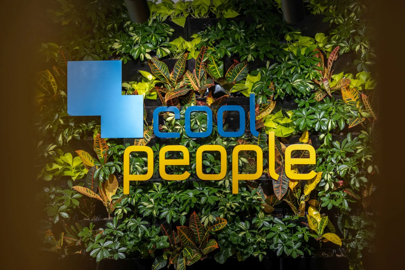 CoolPeople Bratislava
